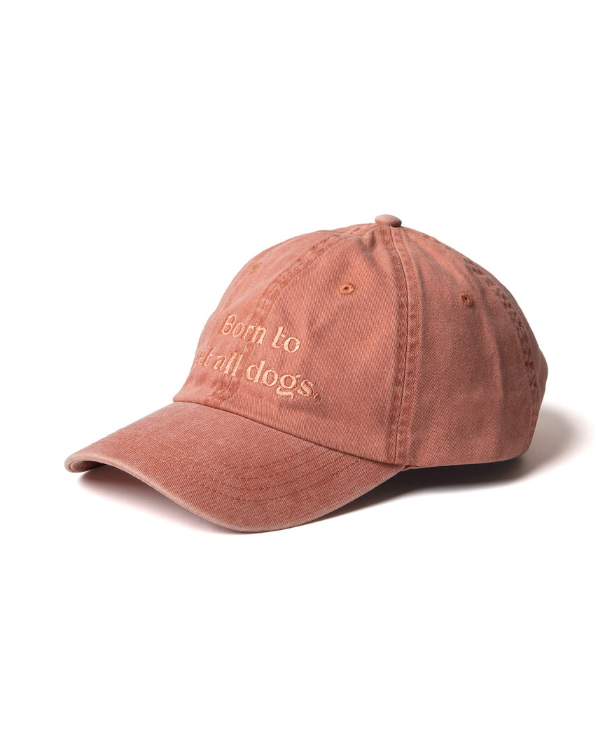 gorra-sombrero-naranja-perro