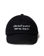 adopciones-perros-esterilizacion-gorra-negra