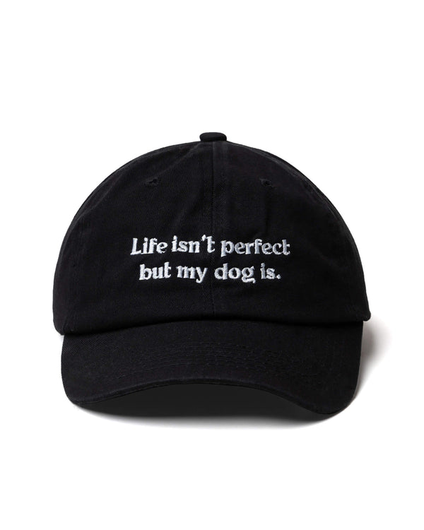 adopciones-perros-esterilizacion-gorra-negra