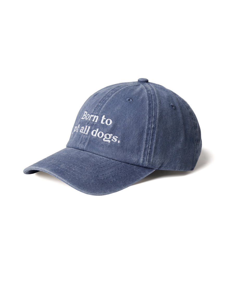 Gorra Azul | Less people more dogs
