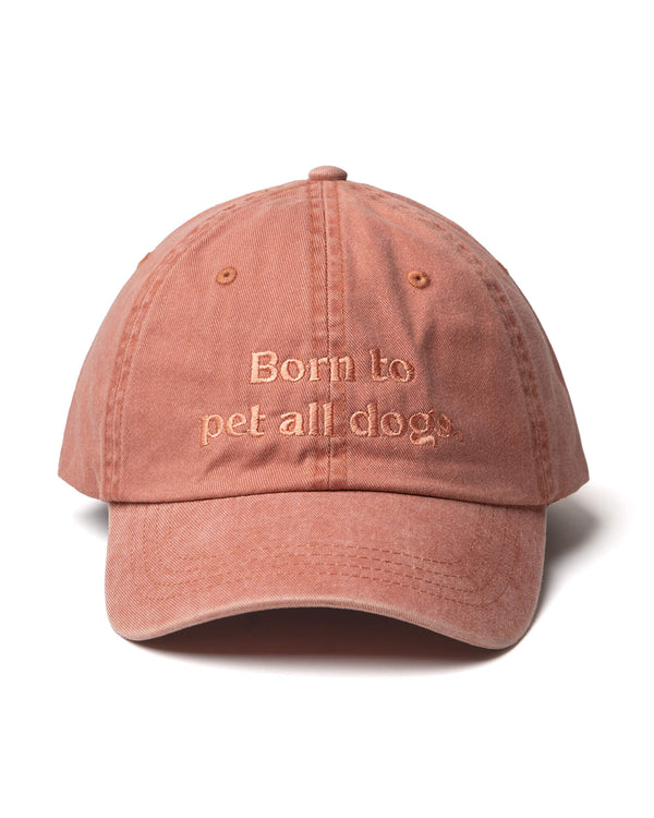 gorra-sombrero-naranja-perro