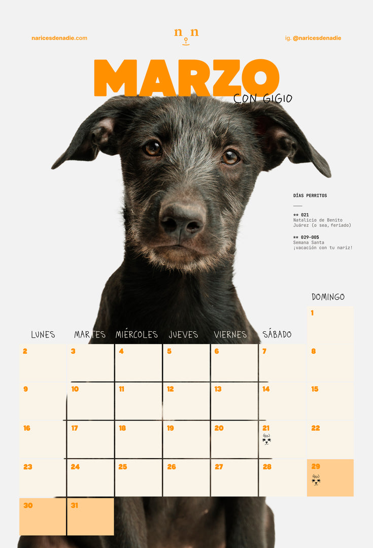 Calendario 2026 | Narices de Nadie