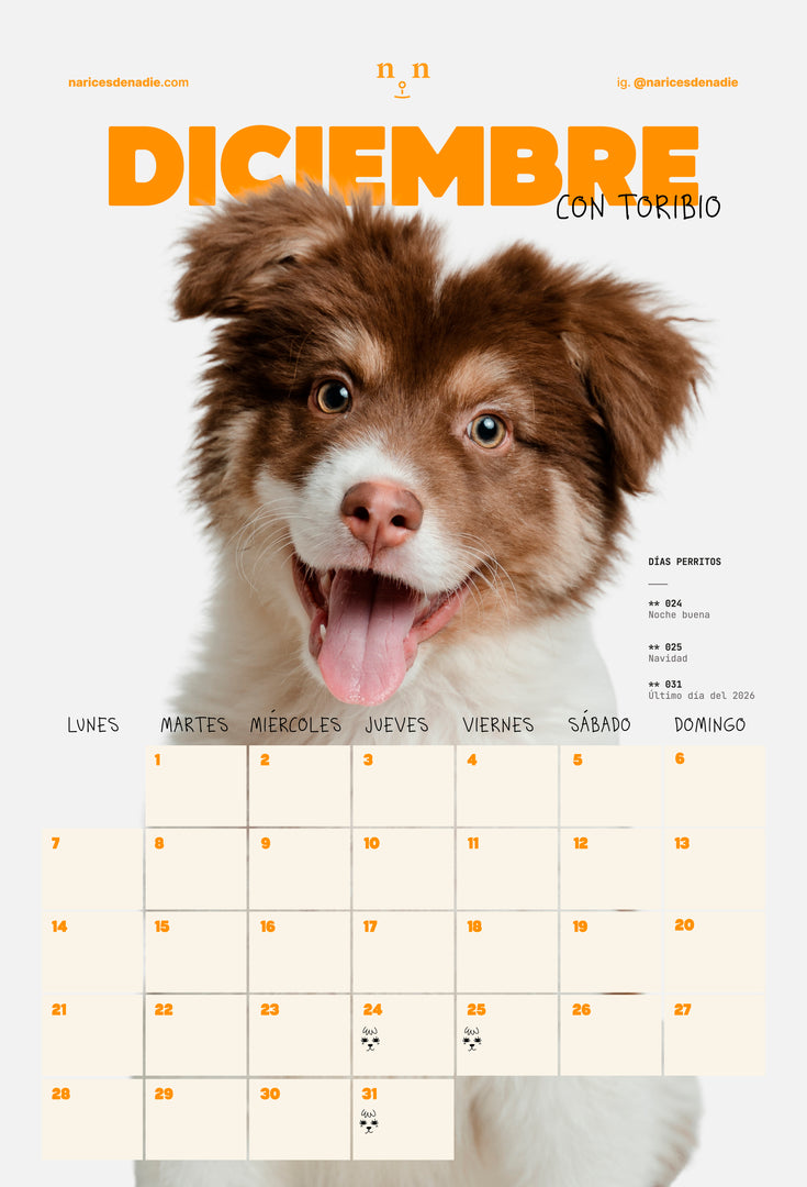 Calendario 2026 | Narices de Nadie
